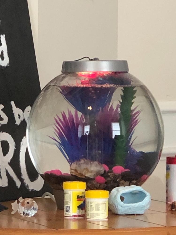 biOrb Classic 15L / 4 Gallon All-in-One Acrylic Aquarium Kit with Multicolor Light - Customer Photo From Heidi Vlach