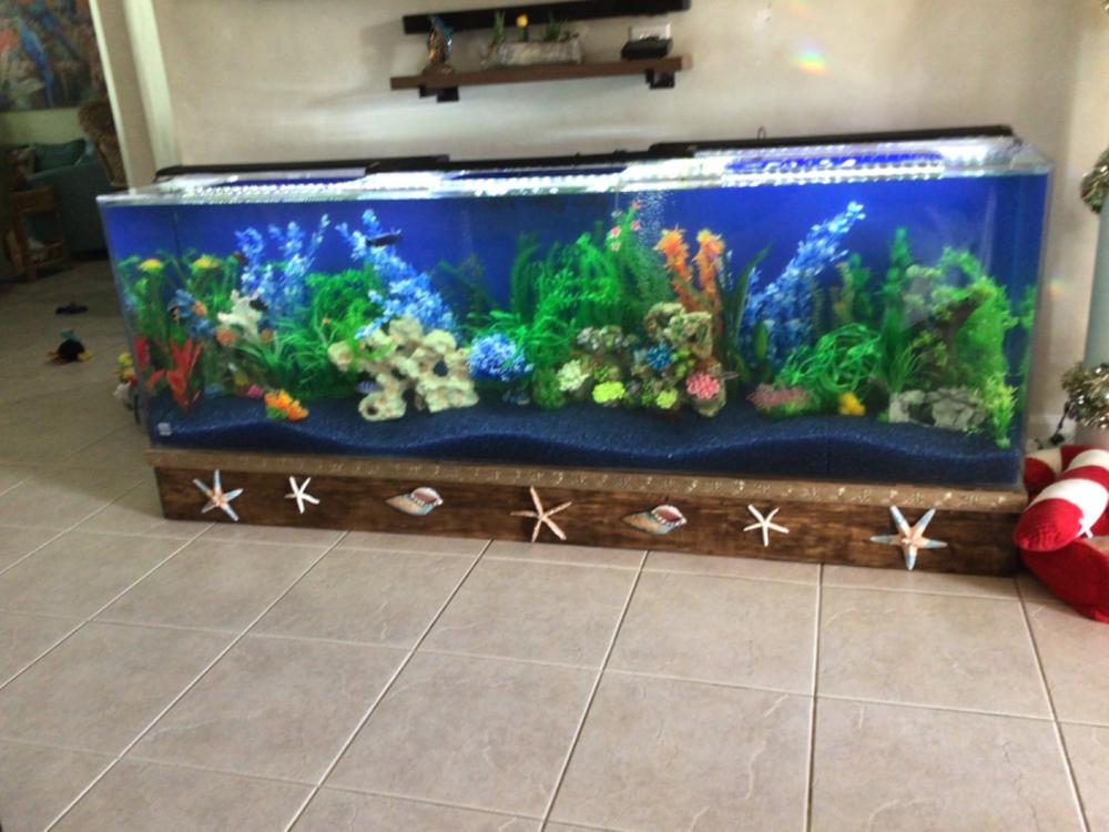 Clear For Life Rectangle UniQuarium 3-in-1 Acrylic Aquarium - 100-300 Gallons - Customer Photo From Teresa Benedict