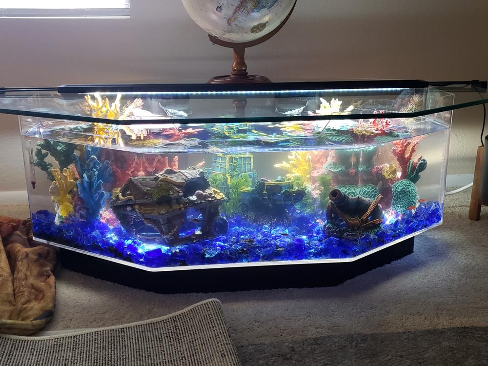 Midwest Tropical Octagon Aquarium Coffee Table - 28 Gallon Freshwater Acrylic (680) - Customer Photo From Chris Magras