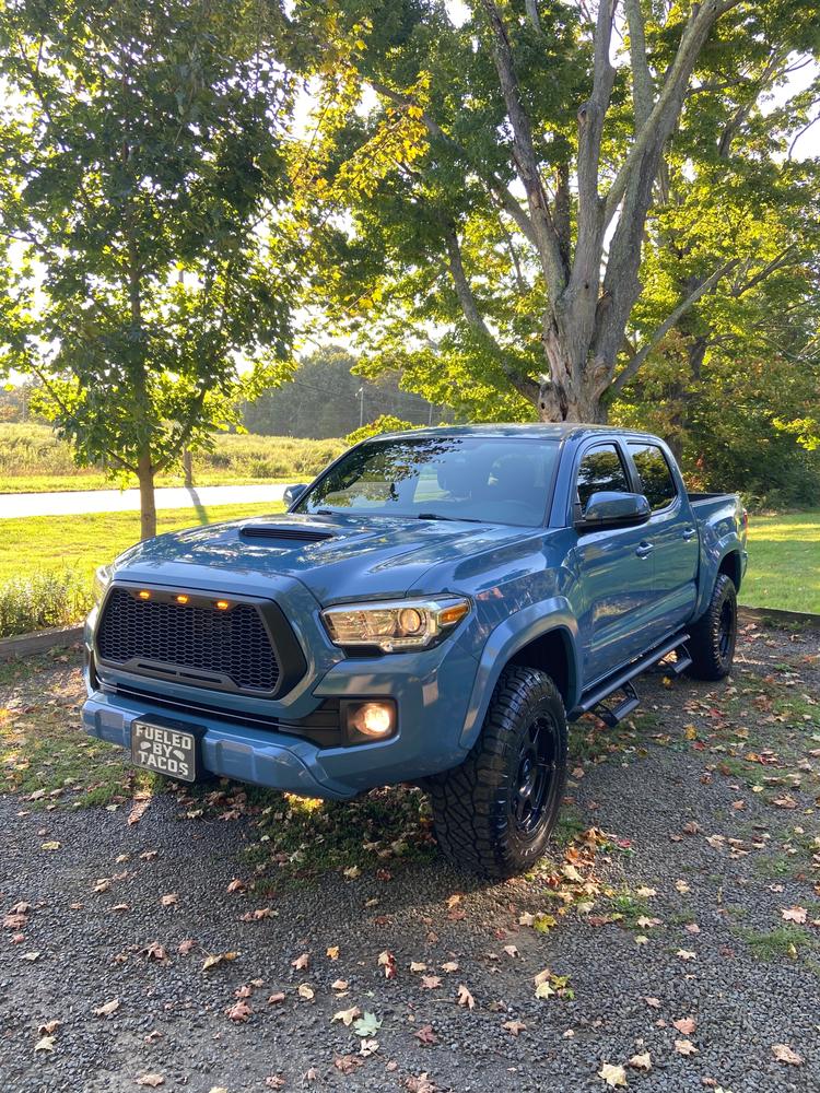 Tacoma Lifestyle Raptor Grille (2016-2022) - Customer Photo From Jeremy D.
