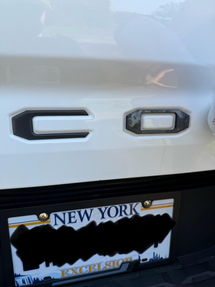 Tailgate Inserts For Tacoma (2016-2023) - Customer Photo From Will B. 