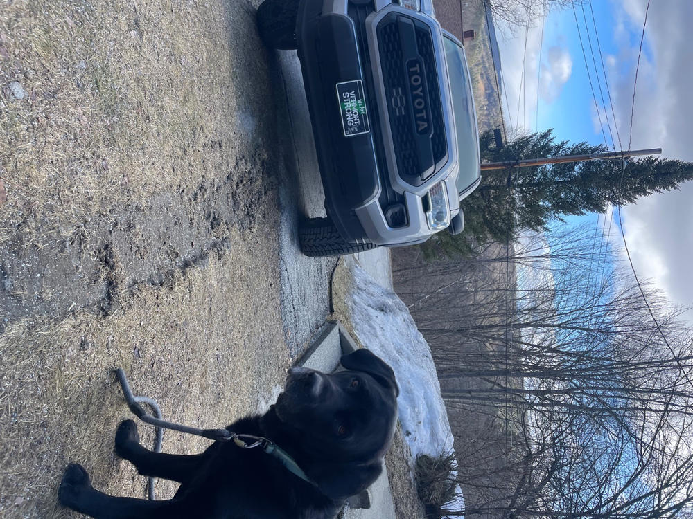 Heritage Grille Sensor Garnish - Customer Photo From Maddison Montminy