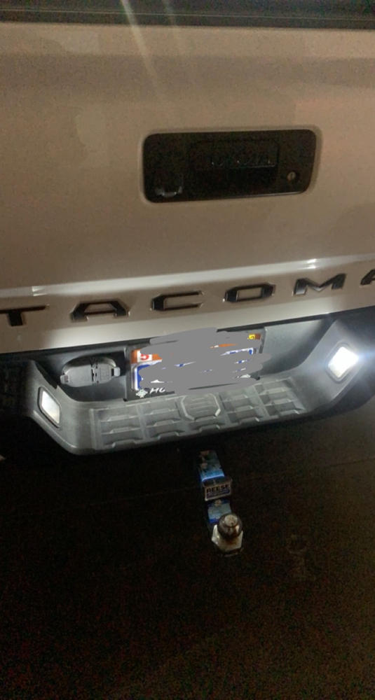 Diode Dynamics License Plate LED Replacement - Pair (1995-2021) - Customer Photo From Hank H.