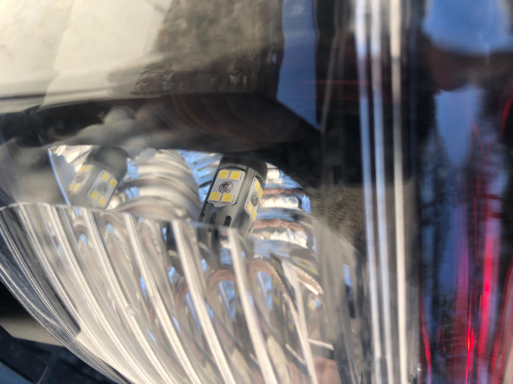 Diode Dynamics Reverse Lights Bulbs (2004-2021) - Customer Photo From Ryan Robichaux