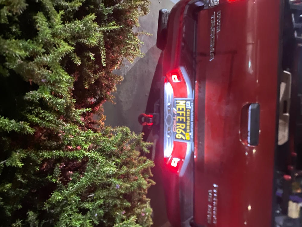 LED License Plate Lights For Tacoma (2005-2015) - Customer Photo From Saul Soto