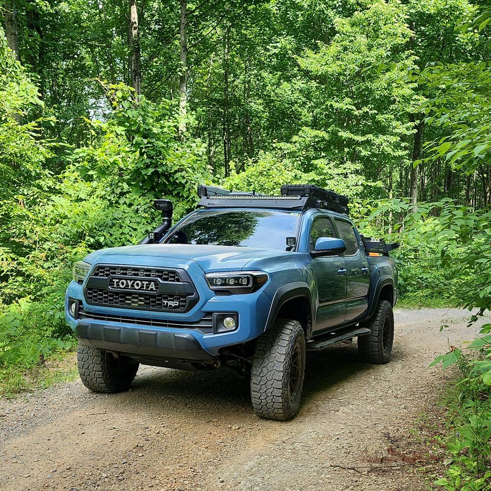 Form Lighting Sequential LED Projector Headlights For Tacoma (2016-2023) - Customer Photo From Mike Lowry