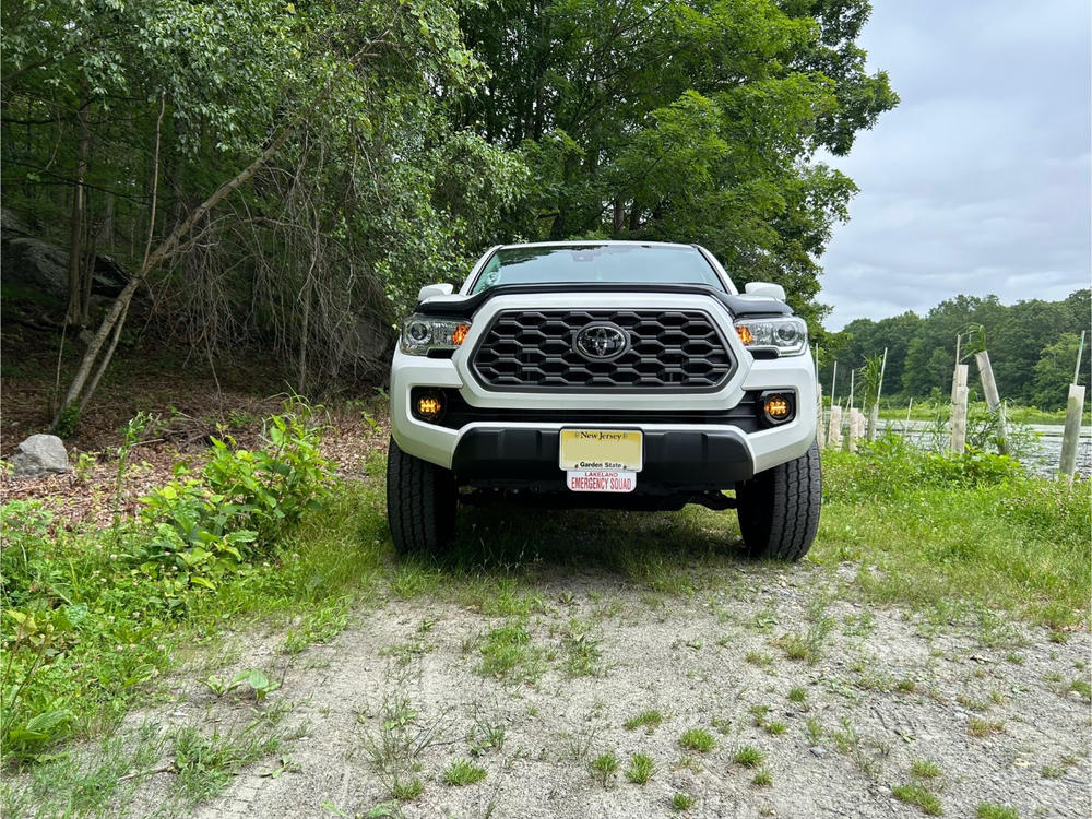 Spidertrax 1.25" Wheel Spacers For Tacoma (2001-2023) - Customer Photo From Jack Deppner