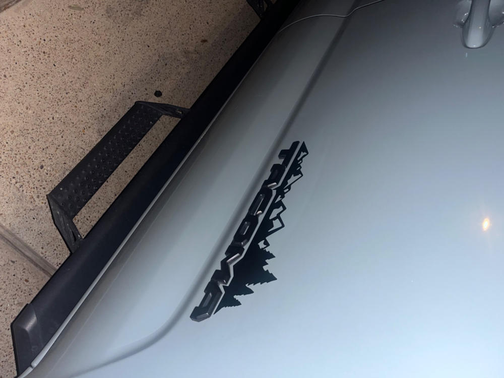 Tacoma Lifestyle Mountain Range Decal - Customer Photo From Jorge A.