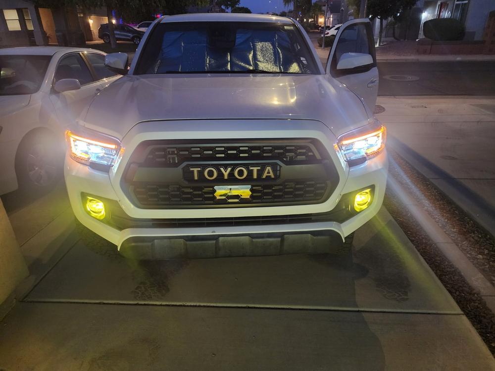 Morimoto XB EVO Headlights For Tacoma (2016-2023) - Customer Photo From Scott Lavin