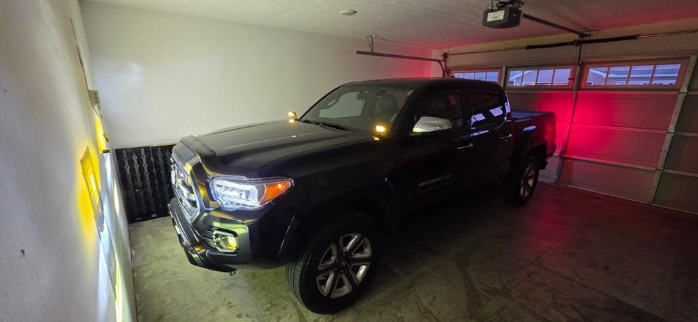 Morimoto 2Banger LED Ditch Light System For Tacoma (2016-2023) - Customer Photo From Steve Tua