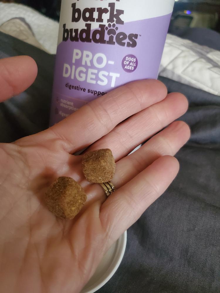 Pro-Digest Digestive Support - Customer Photo From Nikki