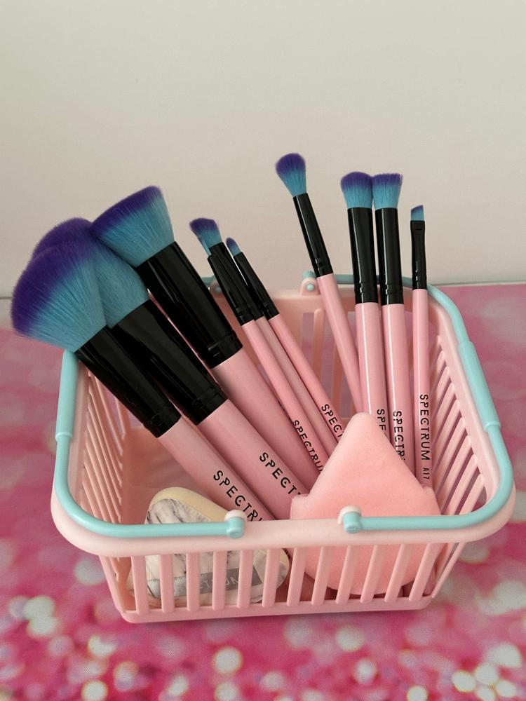10 Piece Essential Makeup Brush Set - Customer Photo From Joanne H.