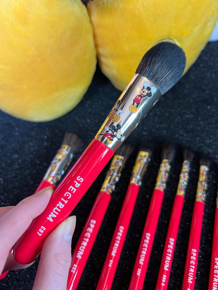 Mickey Mouse 10 Piece Makeup Brush Set - Customer Photo From Jessica