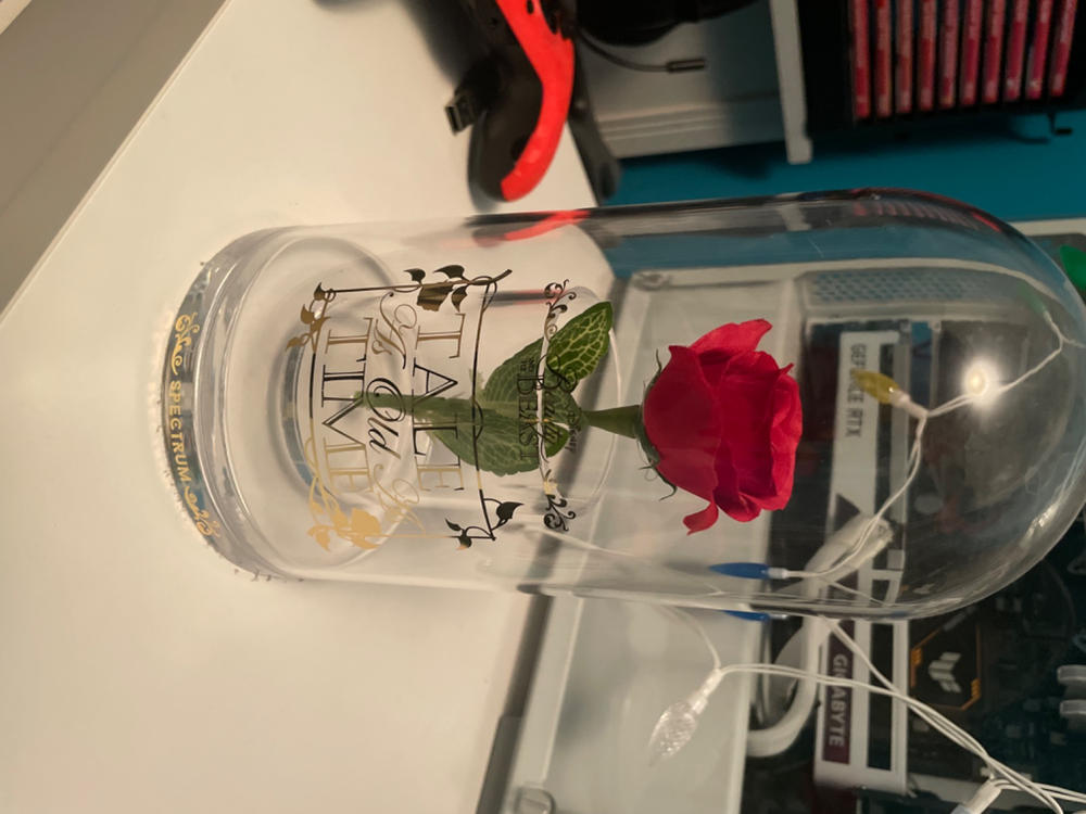 Beauty and the Beast Rose Cloche Storage - Customer Photo From Lauren Ireland