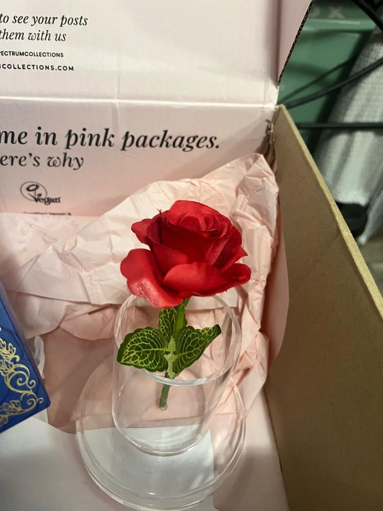 Beauty and the Beast Rose Cloche Storage - Customer Photo From alma barron