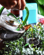 ESSENCESIP Tea Co Ancient Wild Tree - Premium Pu'erh Tea Review