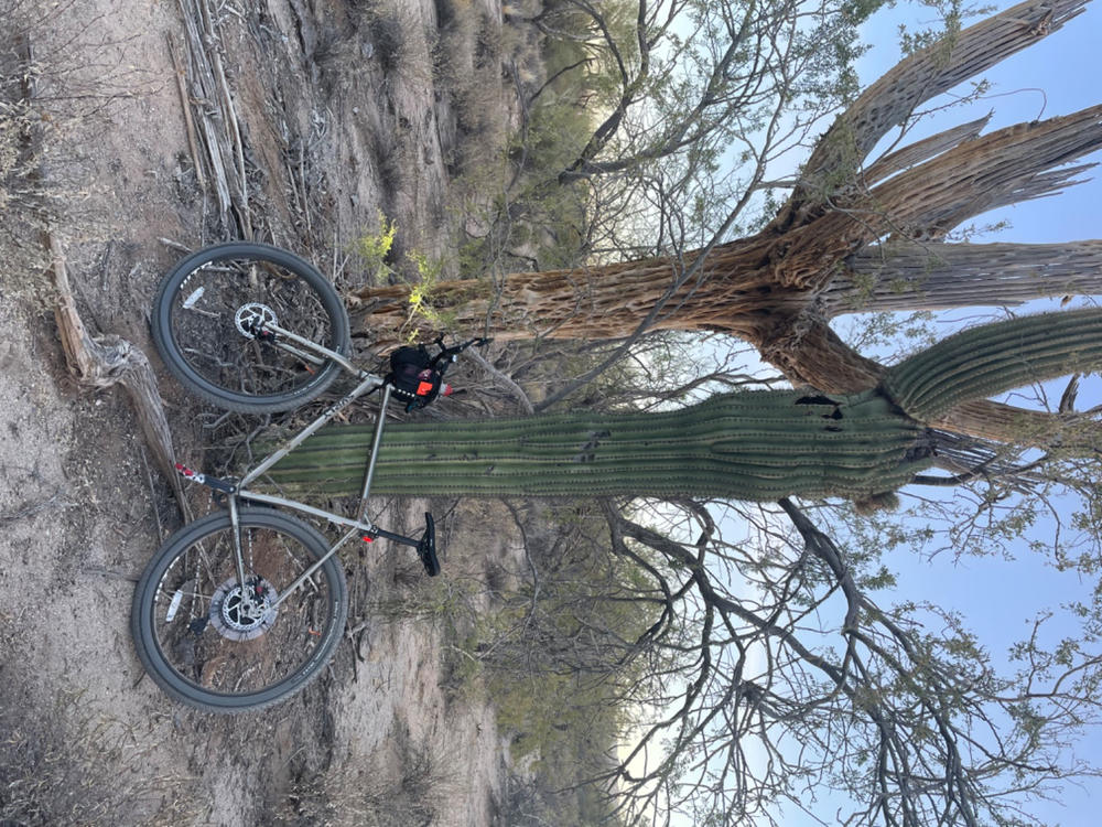 Surly Ogre - XL - Customer Photo From Mark Berge