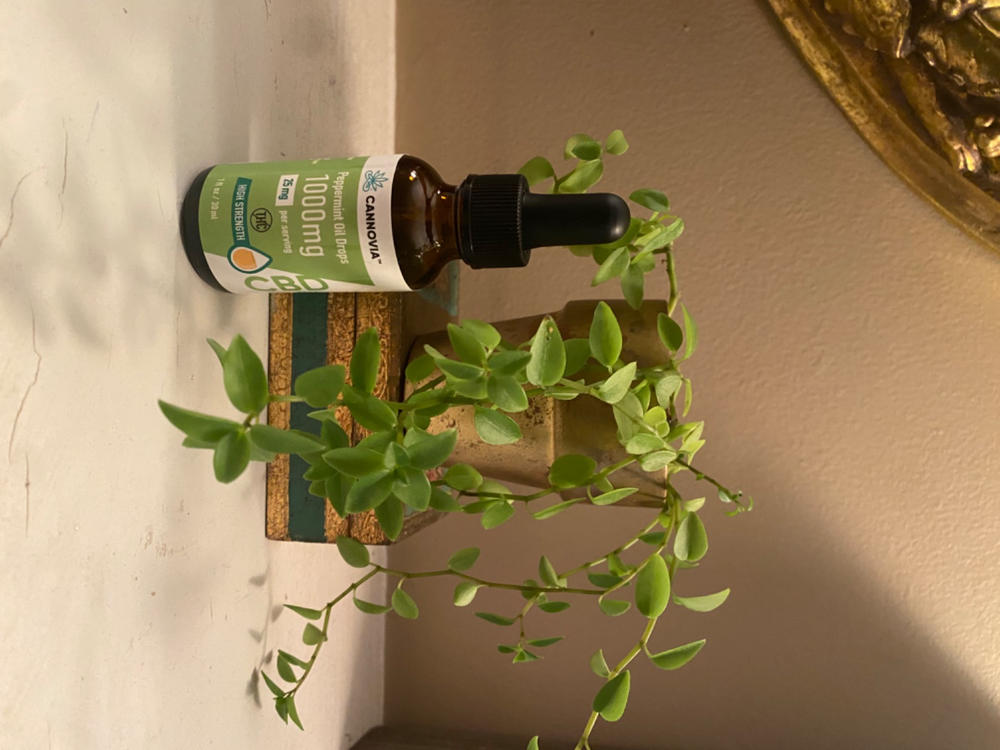 Peppermint CBD Oil Drops - THC FREE - Customer Photo From Alana Rogers