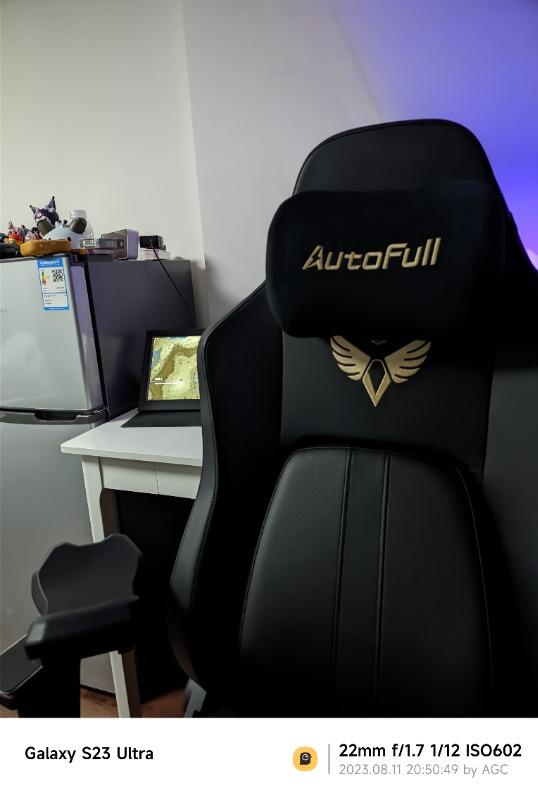 AutoFull M6 Gaming Chair without Footrest - Customer Photo From Tige adler