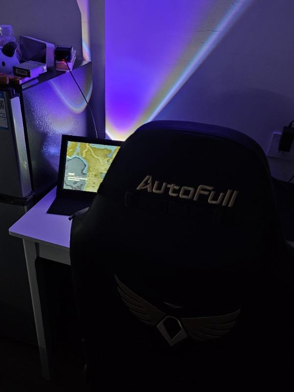 AutoFull M6 Gaming Chair without Footrest - Customer Photo From Tige adler