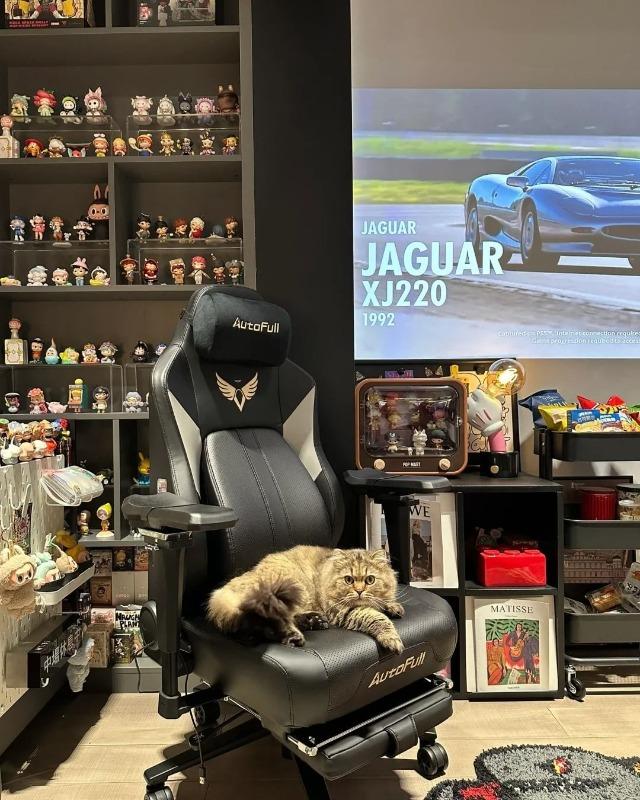AutoFull M6 Gaming Chair Pro+, Ventilated and Heated Seat Cushion, With Footrest - Customer Photo From Dobro