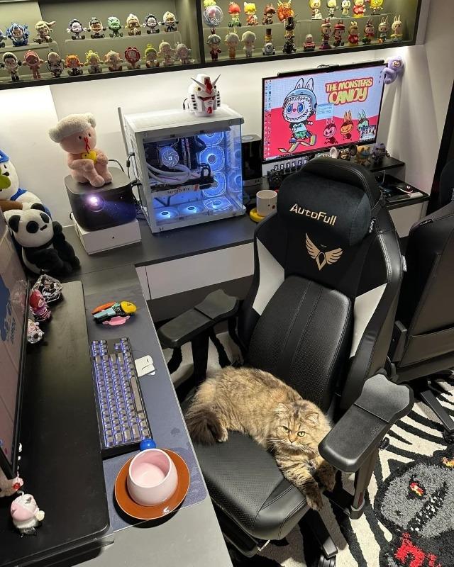 AutoFull M6 Gaming Chair Pro+, Ventilated and Heated Seat Cushion, With Footrest - Customer Photo From Dobro