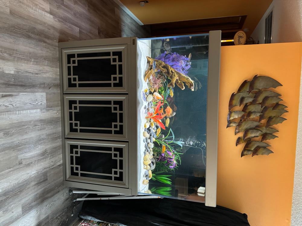 Aqua Dream 235 Gallon Tempered Glass Aquarium Premium Silver - Customer Photo From William Kanehl