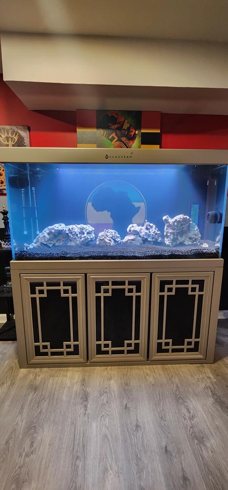 Aquarium 10 L - Aqua Dream Shop