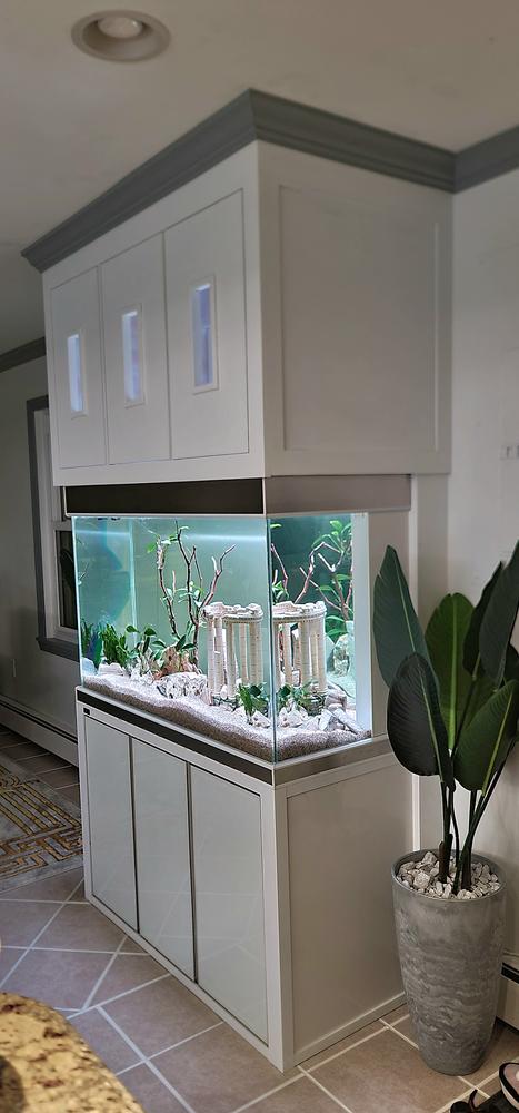 Aqua Dream 145 Gallon Tempered Glass Aquarium White and Silver - Customer Photo From Paraskevas Sirakis