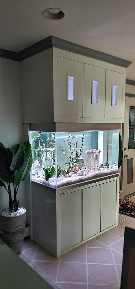 Aqua Dream 145 Gallon Tempered Glass Aquarium White and Silver - Customer Photo From Paraskevas Sirakis