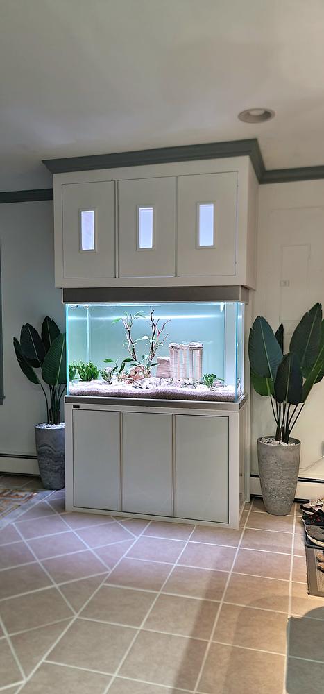 Aqua Dream 145 Gallon Tempered Glass Aquarium White and Silver - Customer Photo From Paraskevas Sirakis