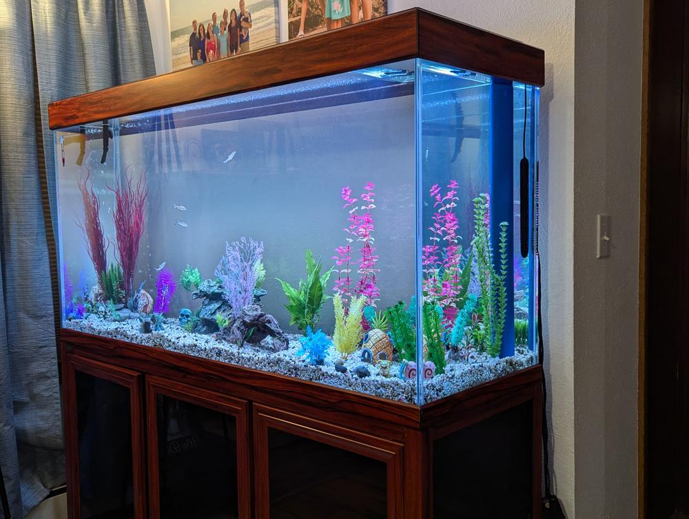 Aqua Dream 175 Gallon Tempered Glass Aquarium Black - Customer Photo From Allen Rawlins