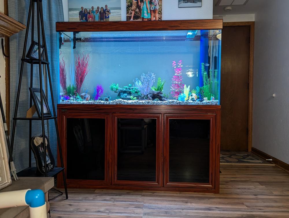 Aqua Dream 175 Gallon Tempered Glass Aquarium Black - Customer Photo From Allen Rawlins