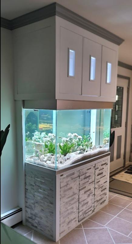 Aqua Dream Tempered Glass Aquarium 260 Gallon Fish Tank White and Silver - Customer Photo From Tuan Huynh