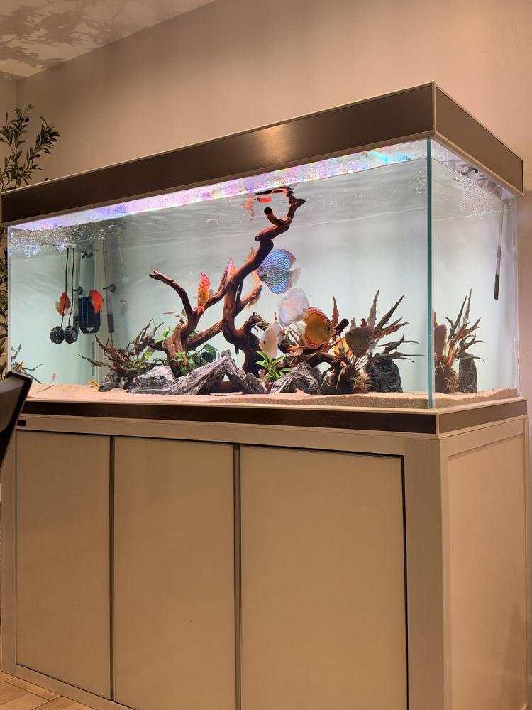 Aqua Dream Tempered Glass Aquarium 260 Gallon Fish Tank White and Silver with Premium Filtration System - Customer Photo From Mark