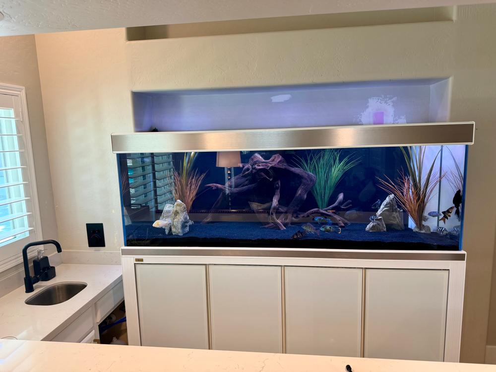 Aqua Dream Tempered Glass Aquarium 260 Gallon Fish Tank White and Silver with Premium Filtration System - Customer Photo From Ryan Quinn