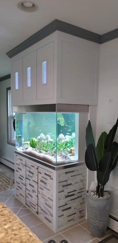 Aqua Dream Tempered Glass Aquarium 260 Gallon Fish Tank White and Silver - Customer Photo From Tuan Huynh