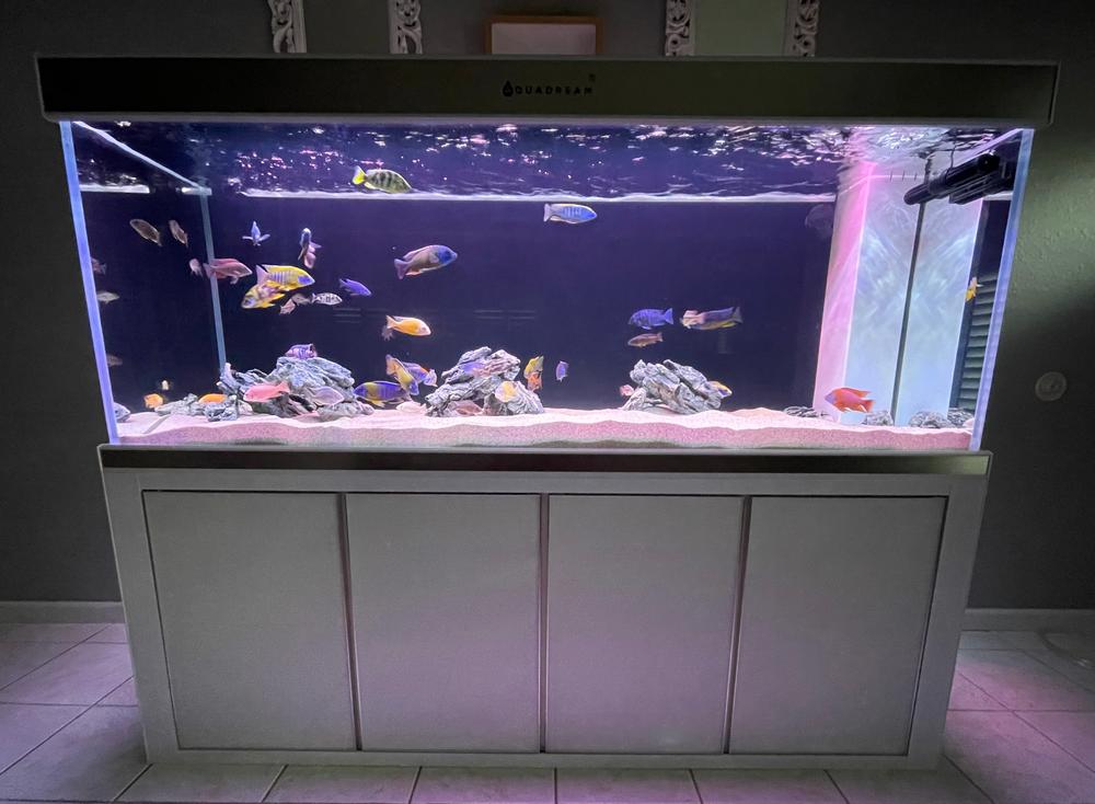 Fish Tank Super White Large, Medium and Small Living Room 80cm60cm