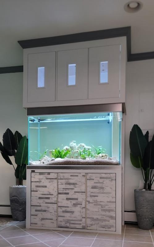 Aqua Dream Tempered Glass Aquarium 260 Gallon Fish Tank White and Silver - Customer Photo From Tuan Huynh