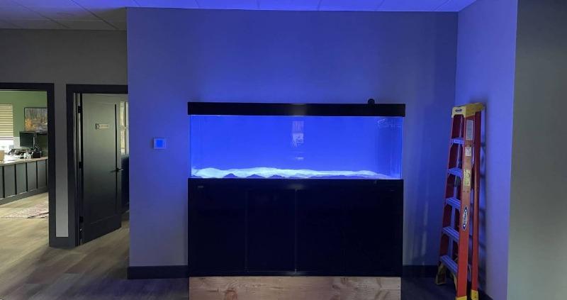 Aqua Dream 250 Gallon Tempered Glass Aquarium White and Gold - Customer Photo From Tim Thompson