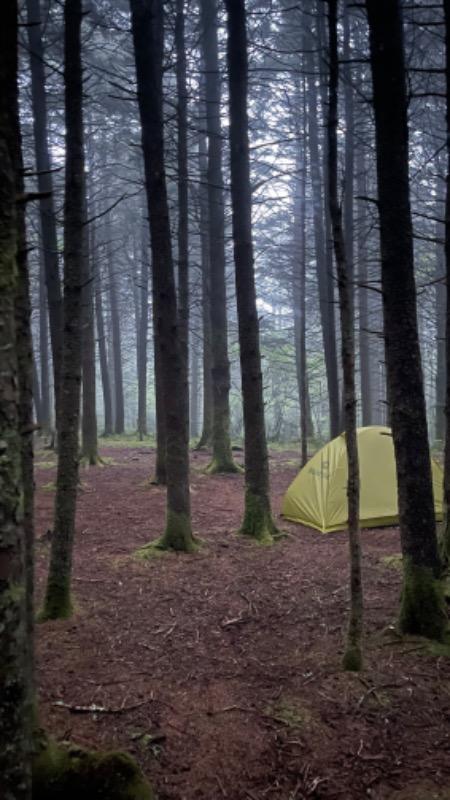 Organic Extra Virgin Olive Oil Individual Portion Packets