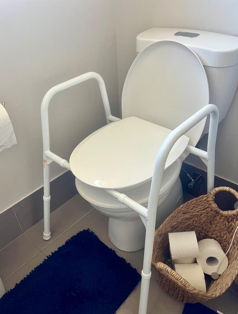 Over Toilet Aid - Aluminium - Customer Photo From Lissa Clayton