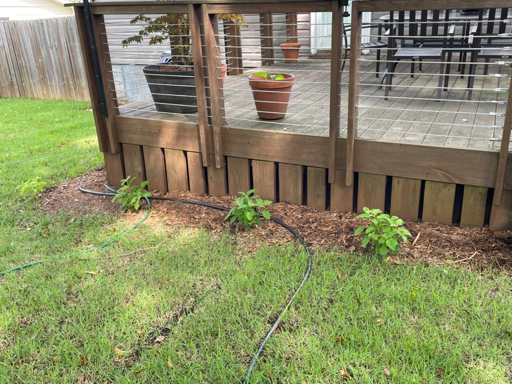 Incrediball® Smooth Hydrangea (Arborescens) - Customer Photo From VICTORIA MAHONEY