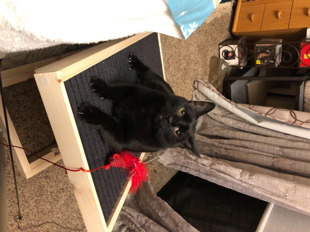 scratch ramp for cats