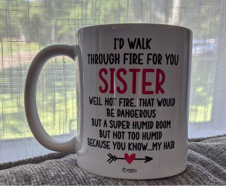 Best Sister Funny Sister I'd Walk Through Fire For You Sister Birthday Mug d4Gx