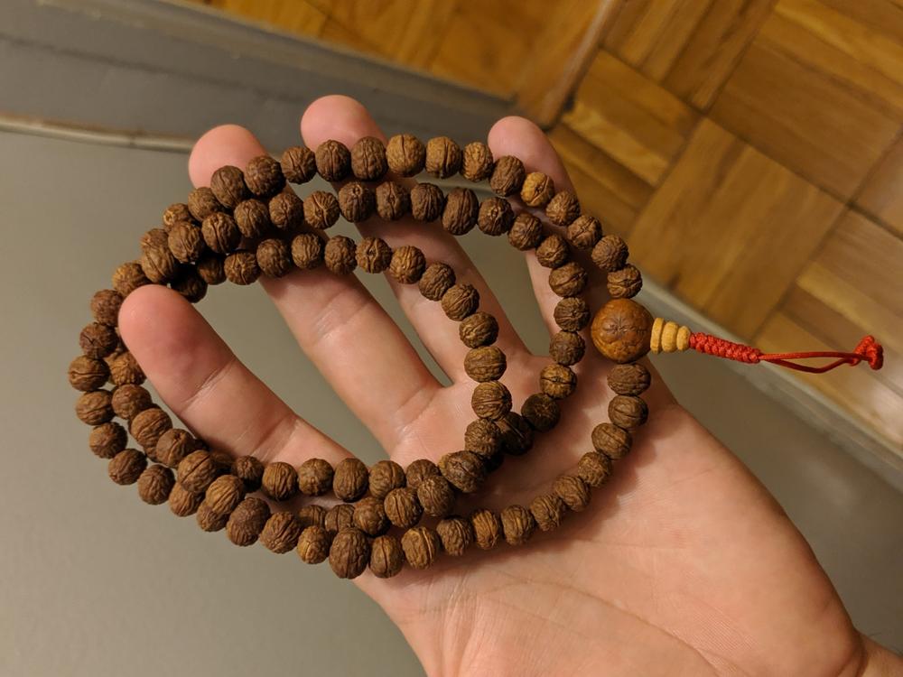 Raktu bodhi seed Mala with Beads | windhorse