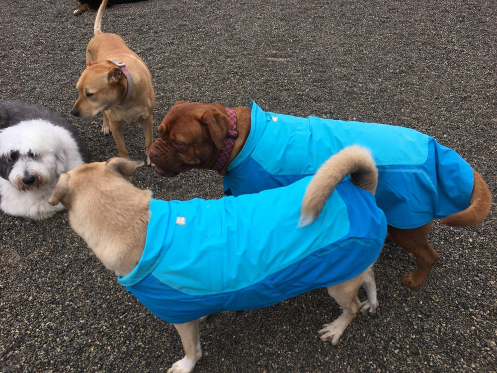 Vert™ Dog Raincoat Waterproof, Windproof & Fleece Lined Ruffwear