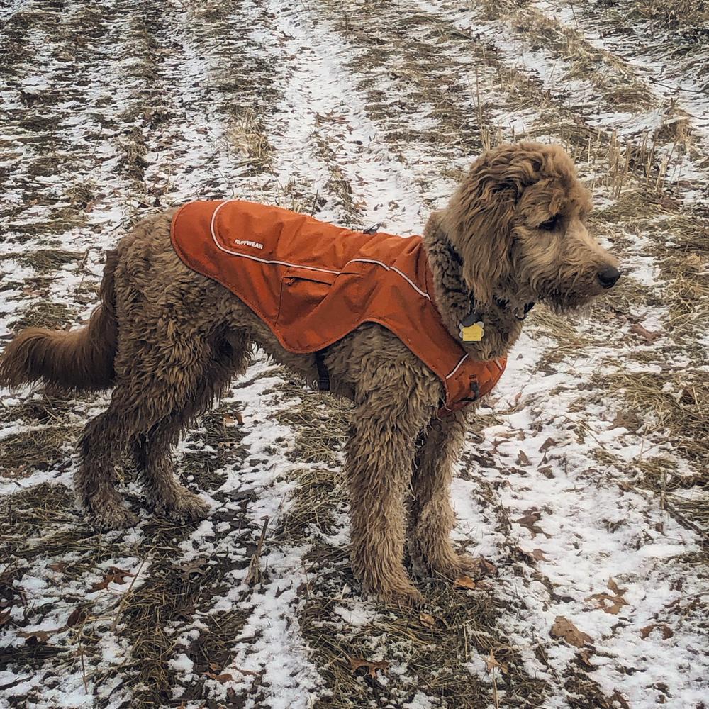 Overcoat Fuse™ Dog Coat with BuiltIn Harness Ruffwear