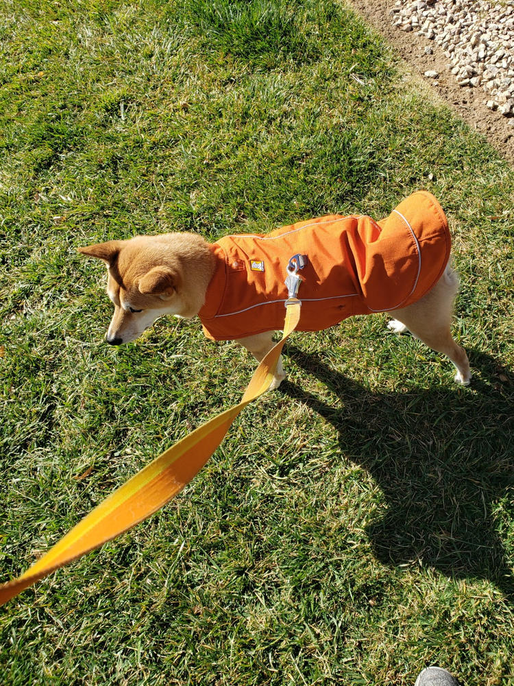 Overcoat Fuse™ Dog Coat with BuiltIn Harness Ruffwear