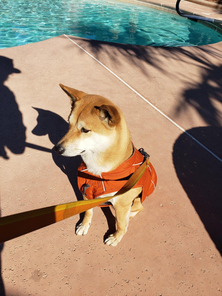 Overcoat Fuse™ Dog Coat with BuiltIn Harness Ruffwear